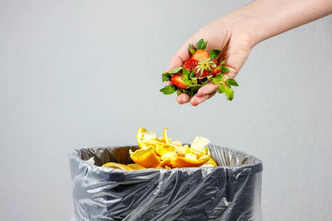 Tutolo di mais Assorbi umido immondizia